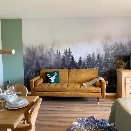 Lindners Hideaways - Bergnest Lodge - Bergblick Fewo 6 Pers Balkon Garten Hund Ski Unterkunft Luftkurort Oberreute Naehe Buchenegger Wasserfaelle Eistobel Bodensee 外观 照片