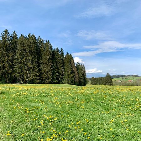 Lindners Hideaways - Bergnest Lodge - Bergblick Fewo 6 Pers Balkon Garten Hund Ski Unterkunft Luftkurort Oberreute Naehe Buchenegger Wasserfaelle Eistobel Bodensee 外观 照片