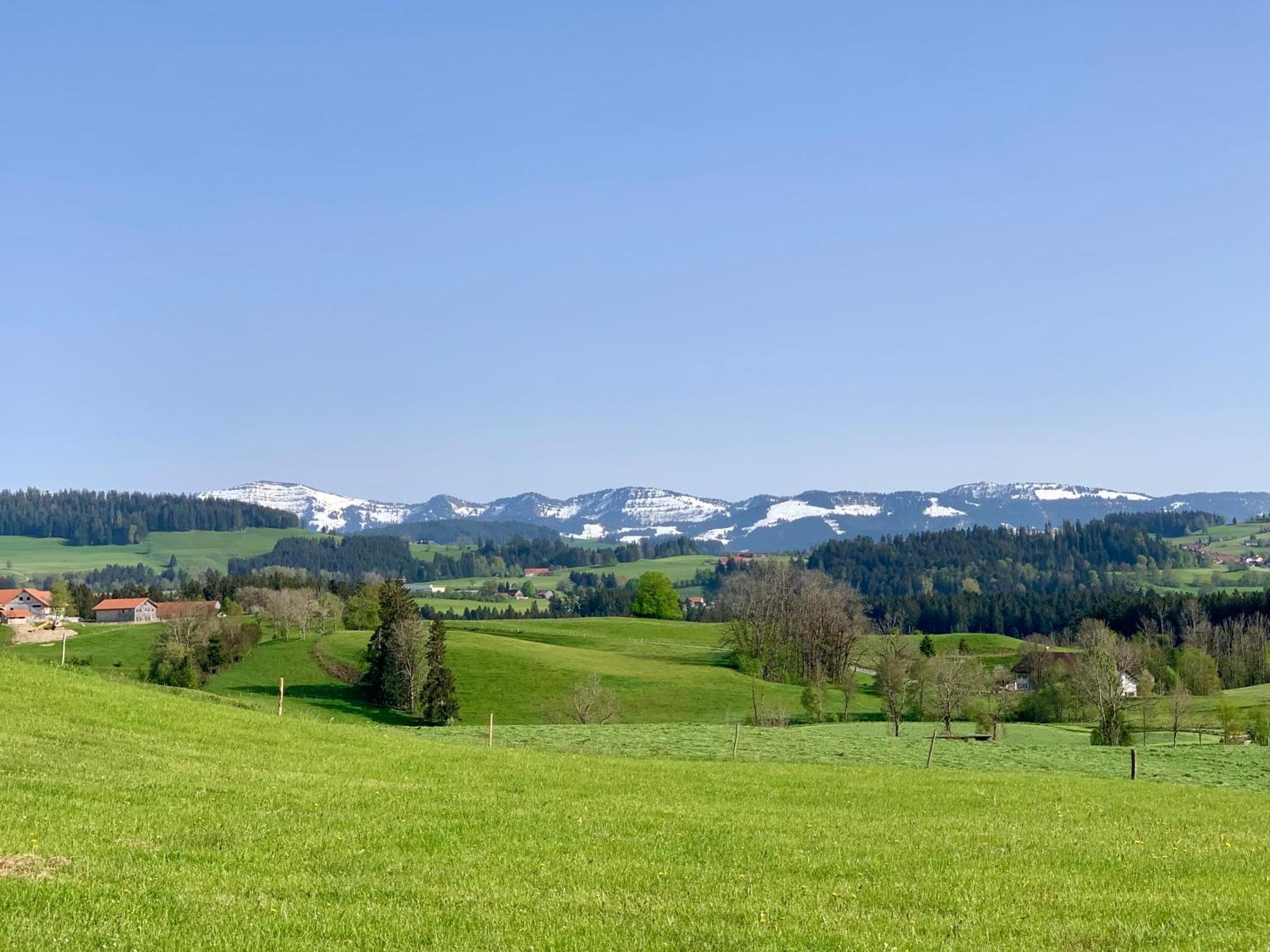 Lindners Hideaways - Bergnest Lodge - Bergblick Fewo 6 Pers Balkon Garten Hund Ski Unterkunft Luftkurort Oberreute Naehe Buchenegger Wasserfaelle Eistobel Bodensee 外观 照片