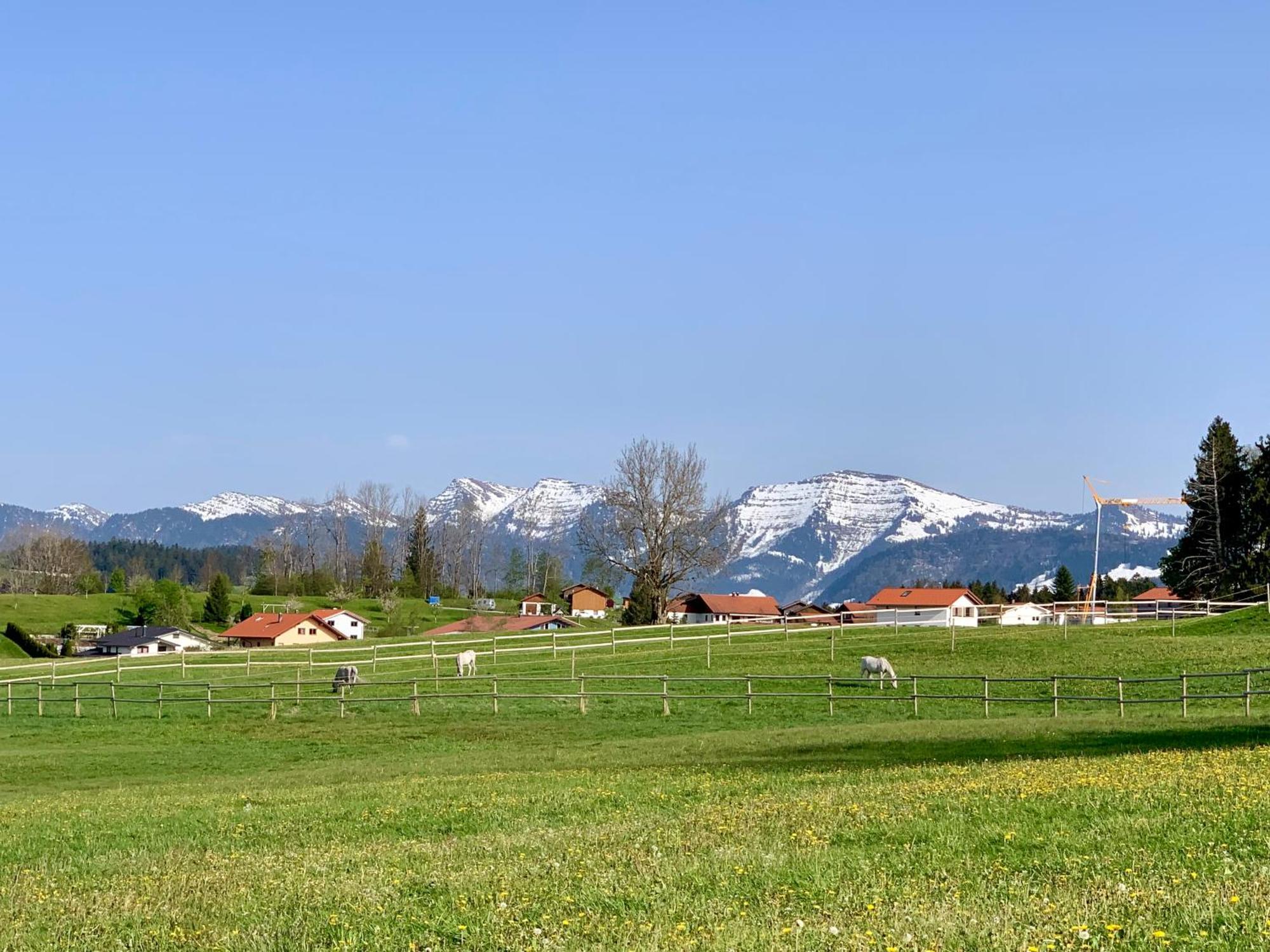 Lindners Hideaways - Bergnest Lodge - Bergblick Fewo 6 Pers Balkon Garten Hund Ski Unterkunft Luftkurort Oberreute Naehe Buchenegger Wasserfaelle Eistobel Bodensee 外观 照片