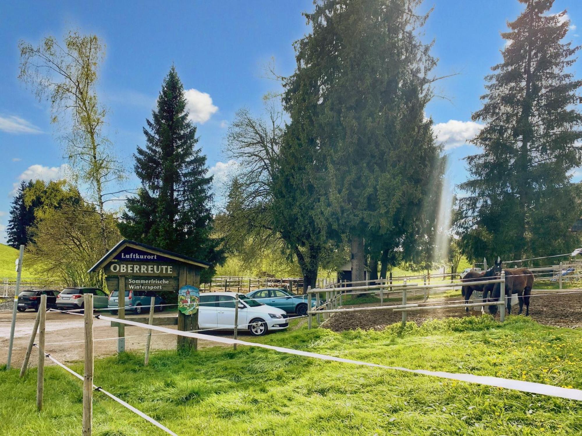 Lindners Hideaways - Bergnest Lodge - Bergblick Fewo 6 Pers Balkon Garten Hund Ski Unterkunft Luftkurort Oberreute Naehe Buchenegger Wasserfaelle Eistobel Bodensee 外观 照片