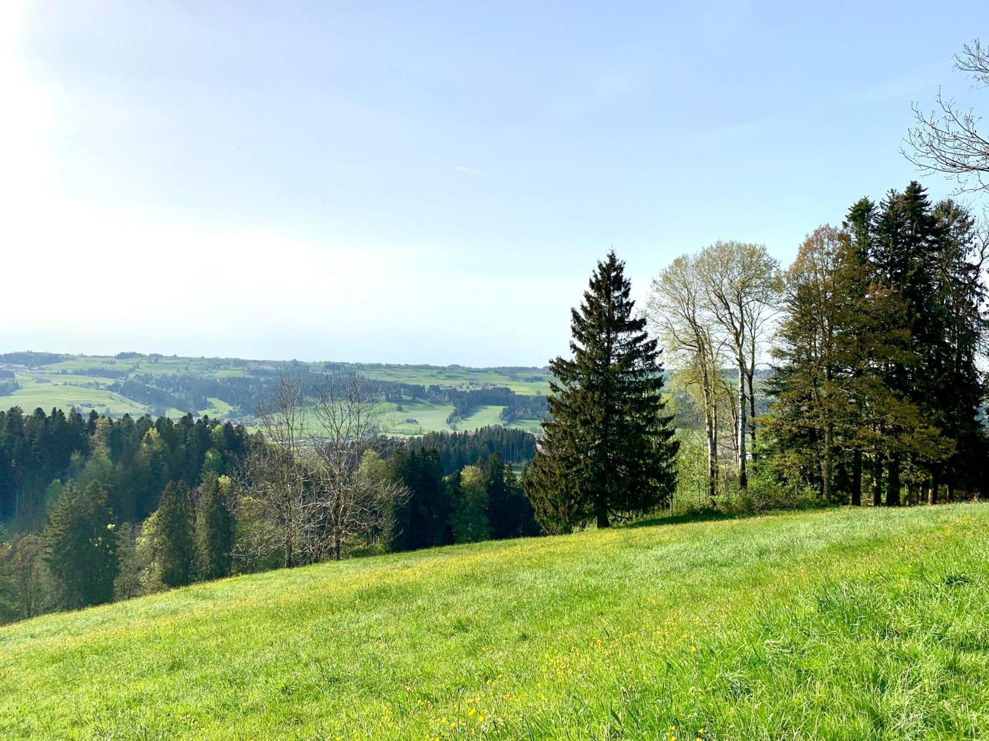 Lindners Hideaways - Bergnest Lodge - Bergblick Fewo 6 Pers Balkon Garten Hund Ski Unterkunft Luftkurort Oberreute Naehe Buchenegger Wasserfaelle Eistobel Bodensee 外观 照片